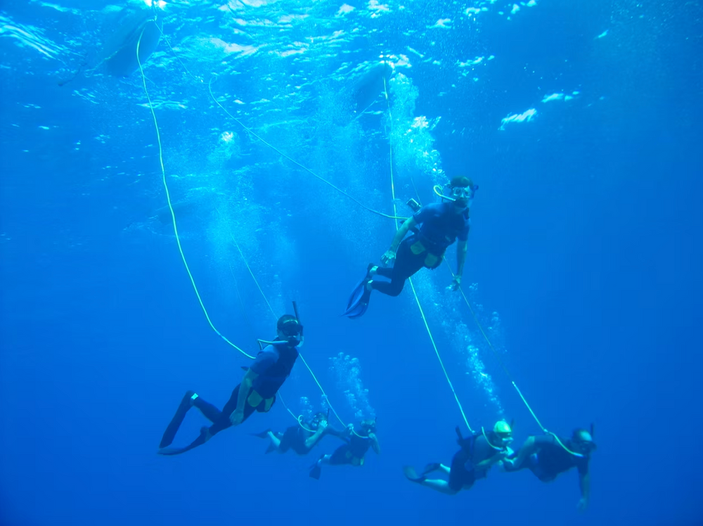 Snuba diving in Curaçao