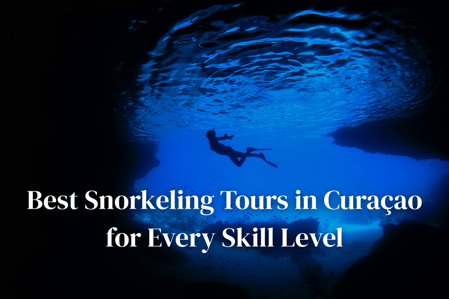 Best Snorkeling Tours in Curaçao for Every Skill Level
