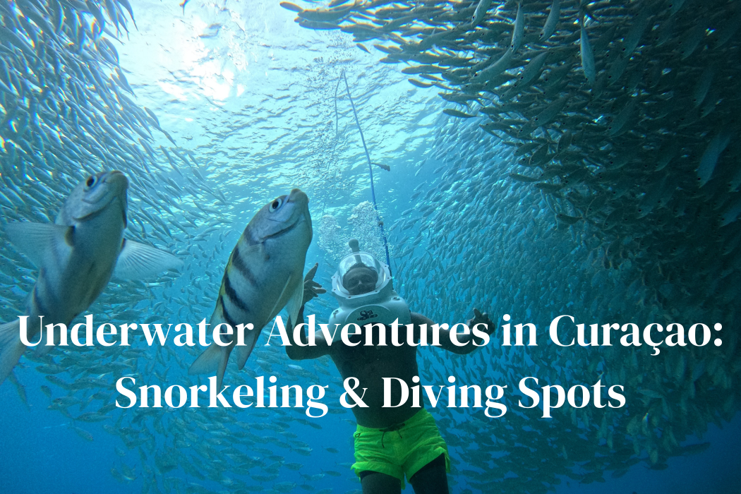 Underwater Adventures in Curaçao: Snorkeling & Diving Spot