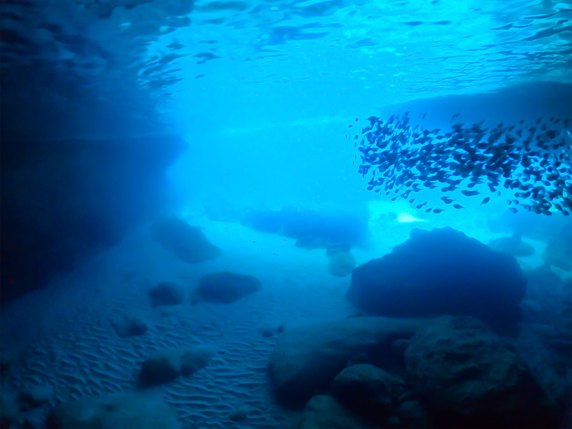 Blue Room Curaçao Guide: Location, Snorkeling & How to Get There