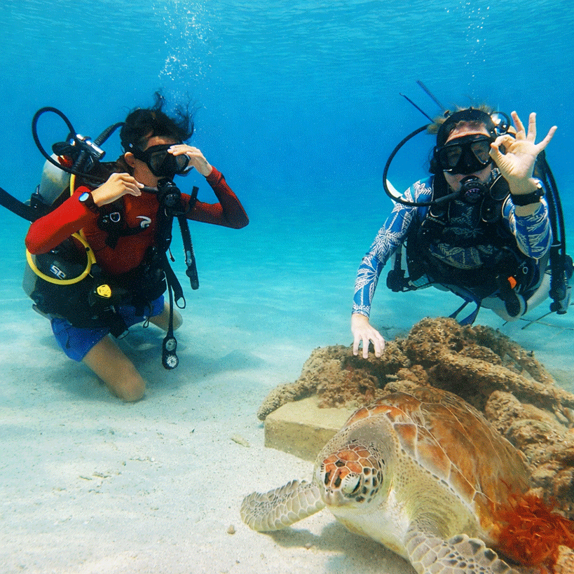Beginner Scuba Diving Experience in Curaçao (1 Dive) – No License Required