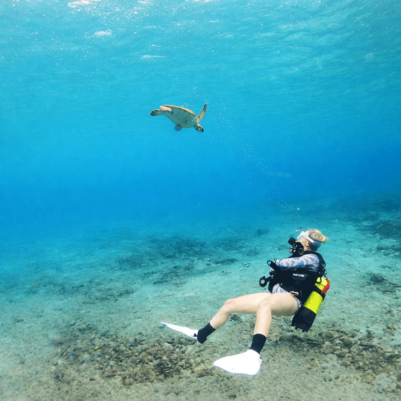 Beginner Scuba Diving Experience in Curaçao (1 Dive) – No License Required