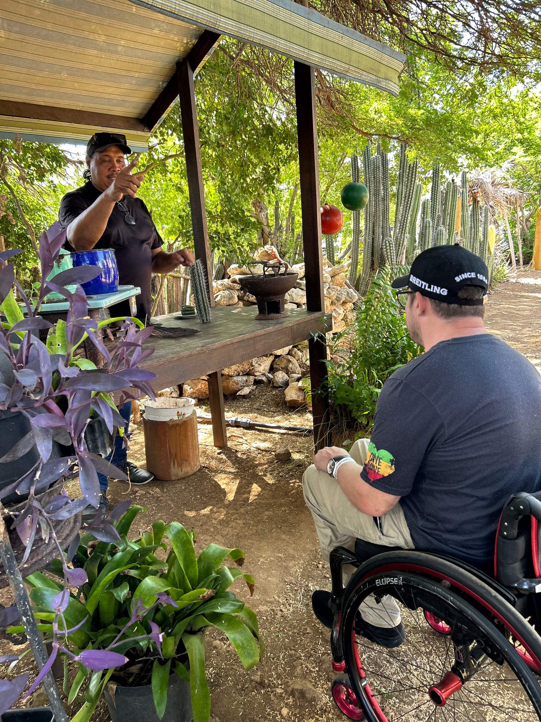 Accessible Curaçao Highlights Tour for Wheelchair Users | 4 Hours