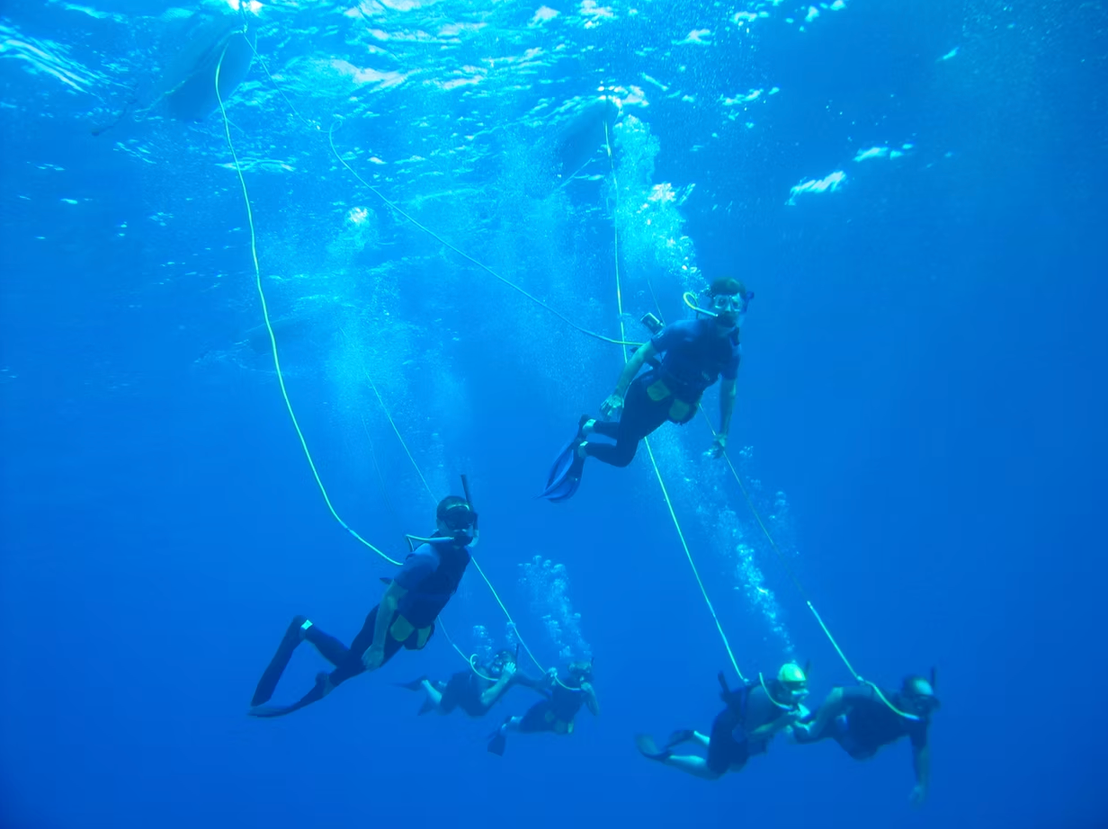 Snuba diving in Curaçao