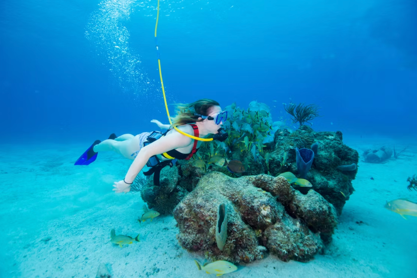 Snuba diving in Curaçao