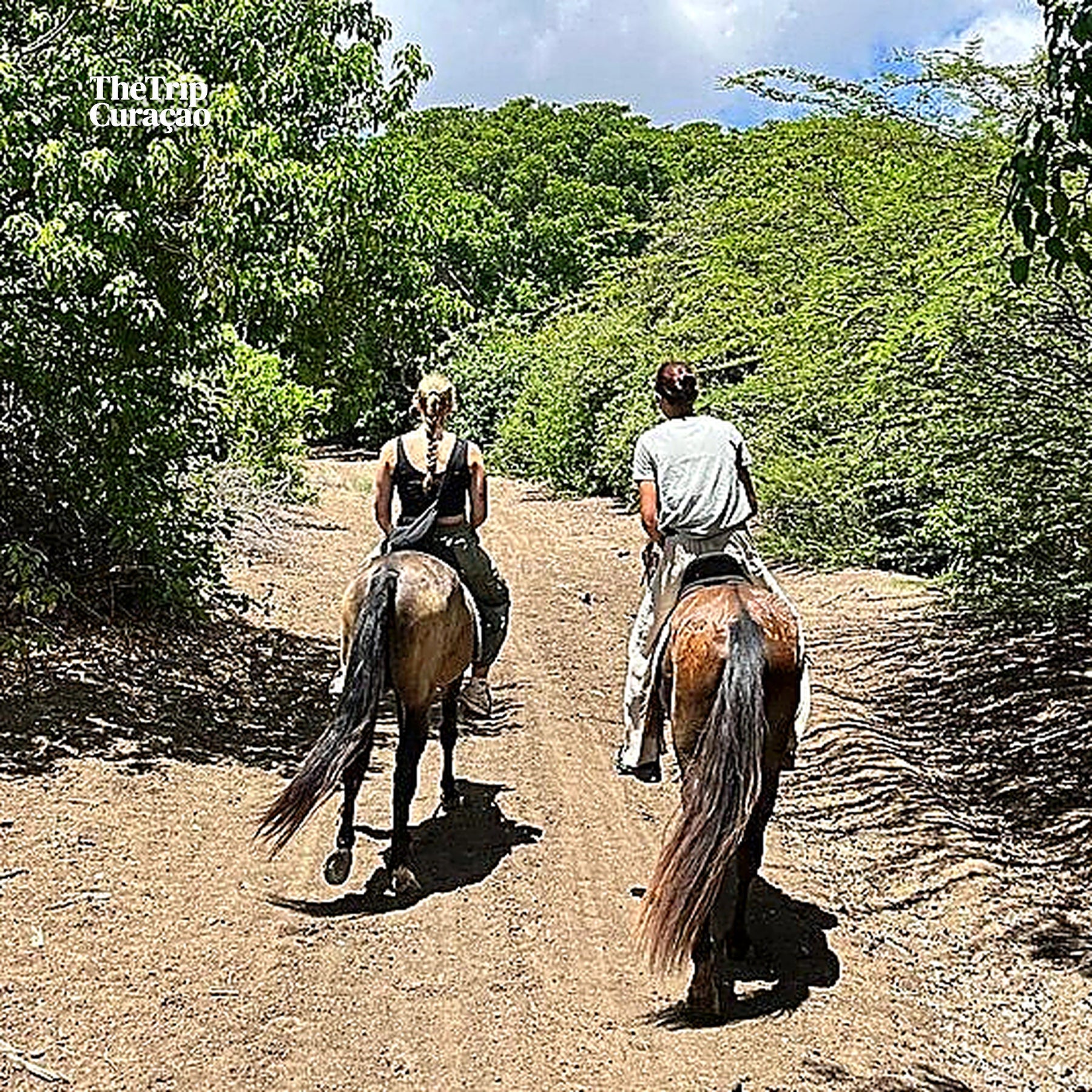Horseback riding  Tours Curaçao - Secrets of the Groot St Joris Mansion - BEGINNER