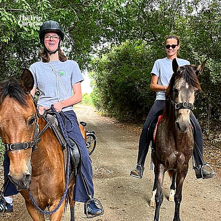 Hide & Seek Adventure tour - INTERMEDIATE Level