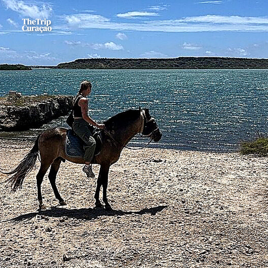 Horseback riding  Tours Curaçao - Hidden Bay tour - INTERMEDIATE