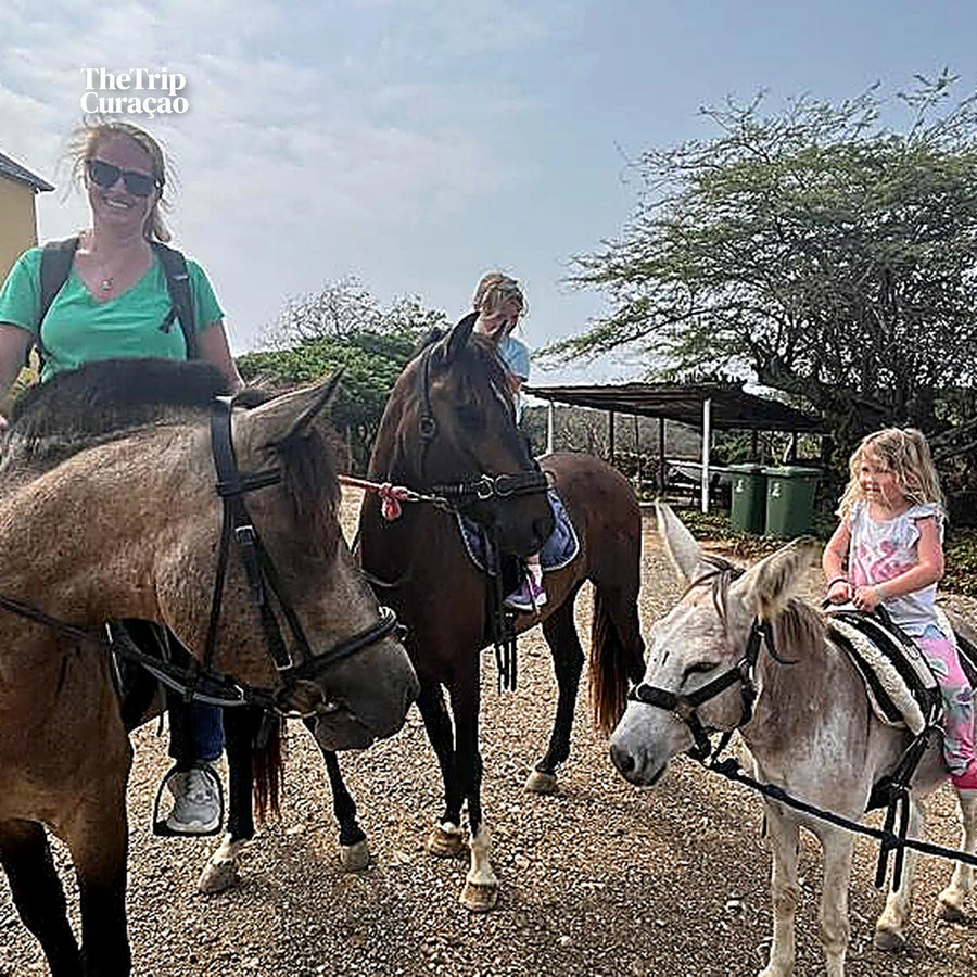 Horseback riding  Tours Curaçao - Secrets of the Groot St Joris Mansion - BEGINNER