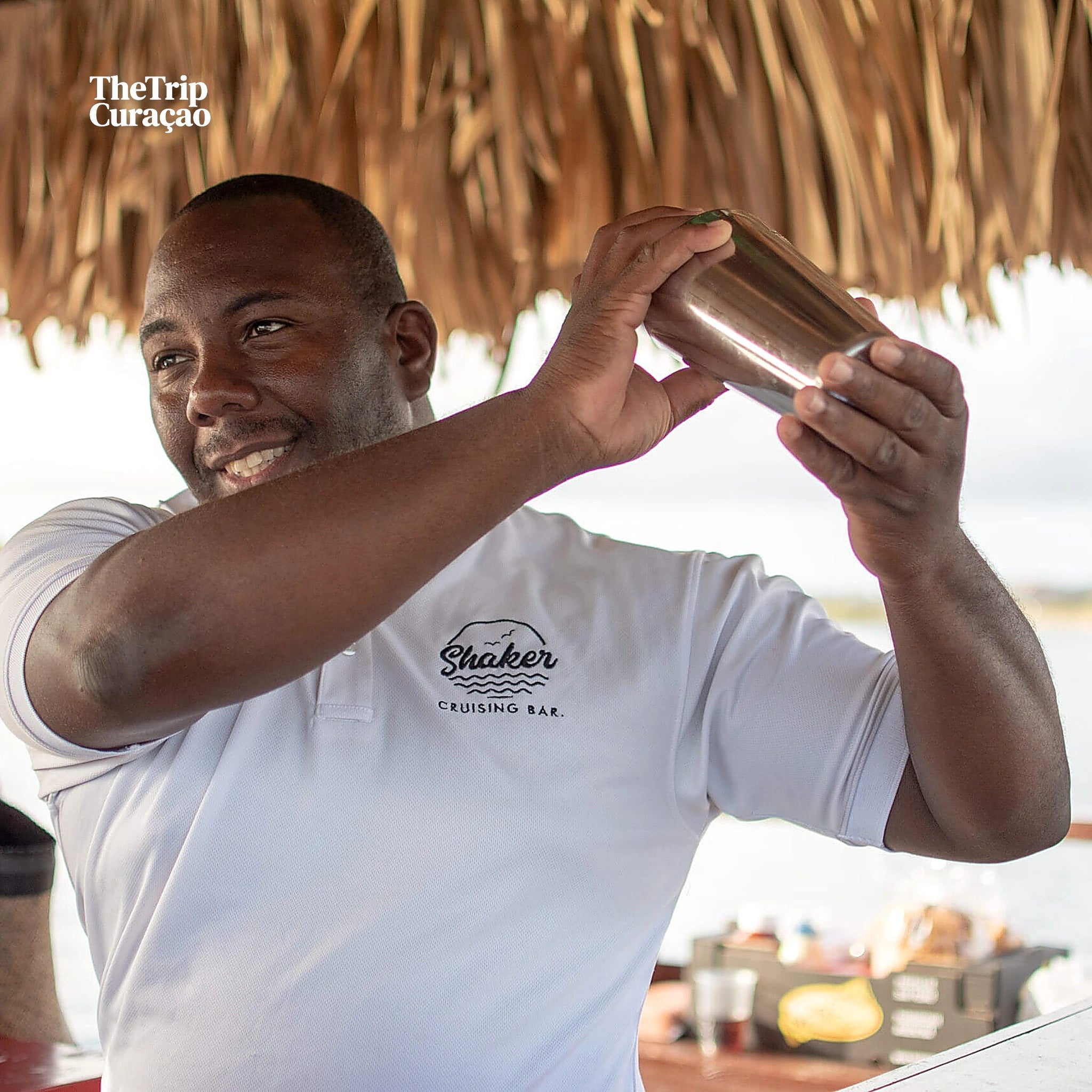 shaker cruise bar - shaker tours