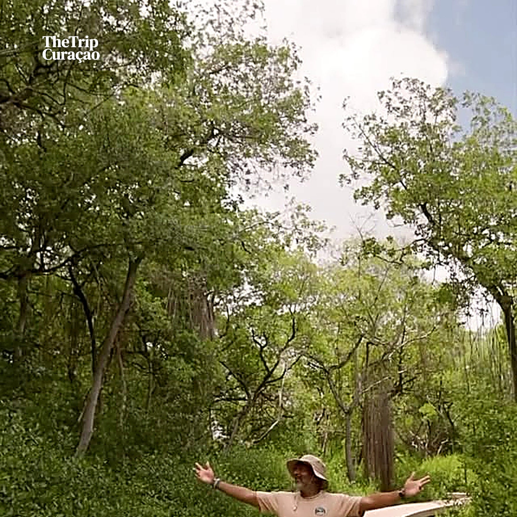 Curaçao Rif mangrove Park
