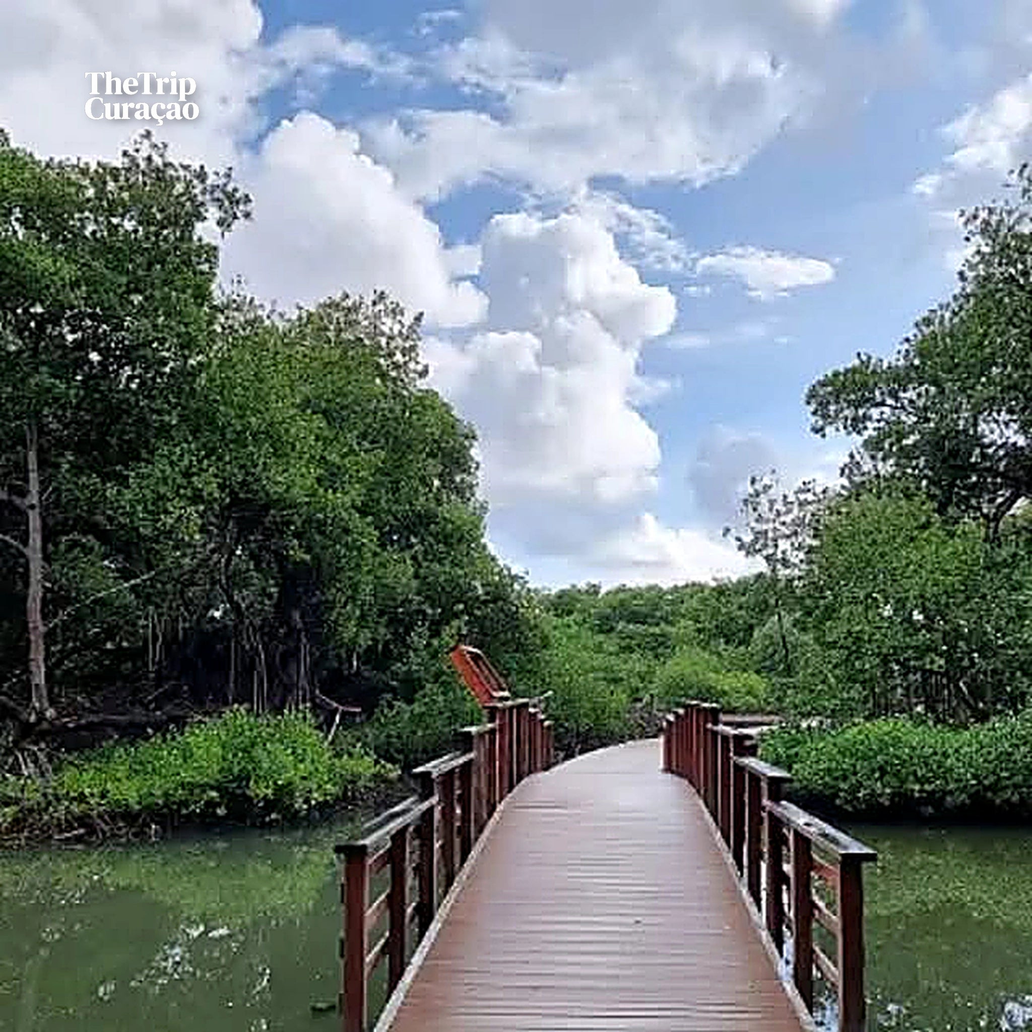 Curaçao Rif mangrove Park