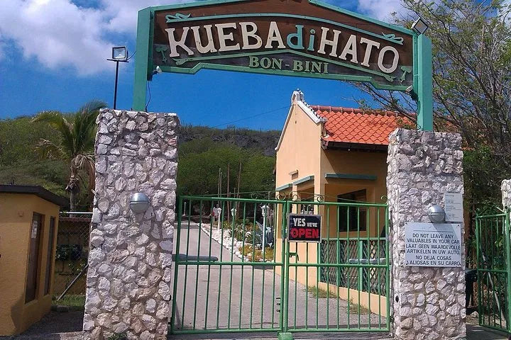 Curaçao Highlights tour: Hato Caves, Flamingos & Beach Time