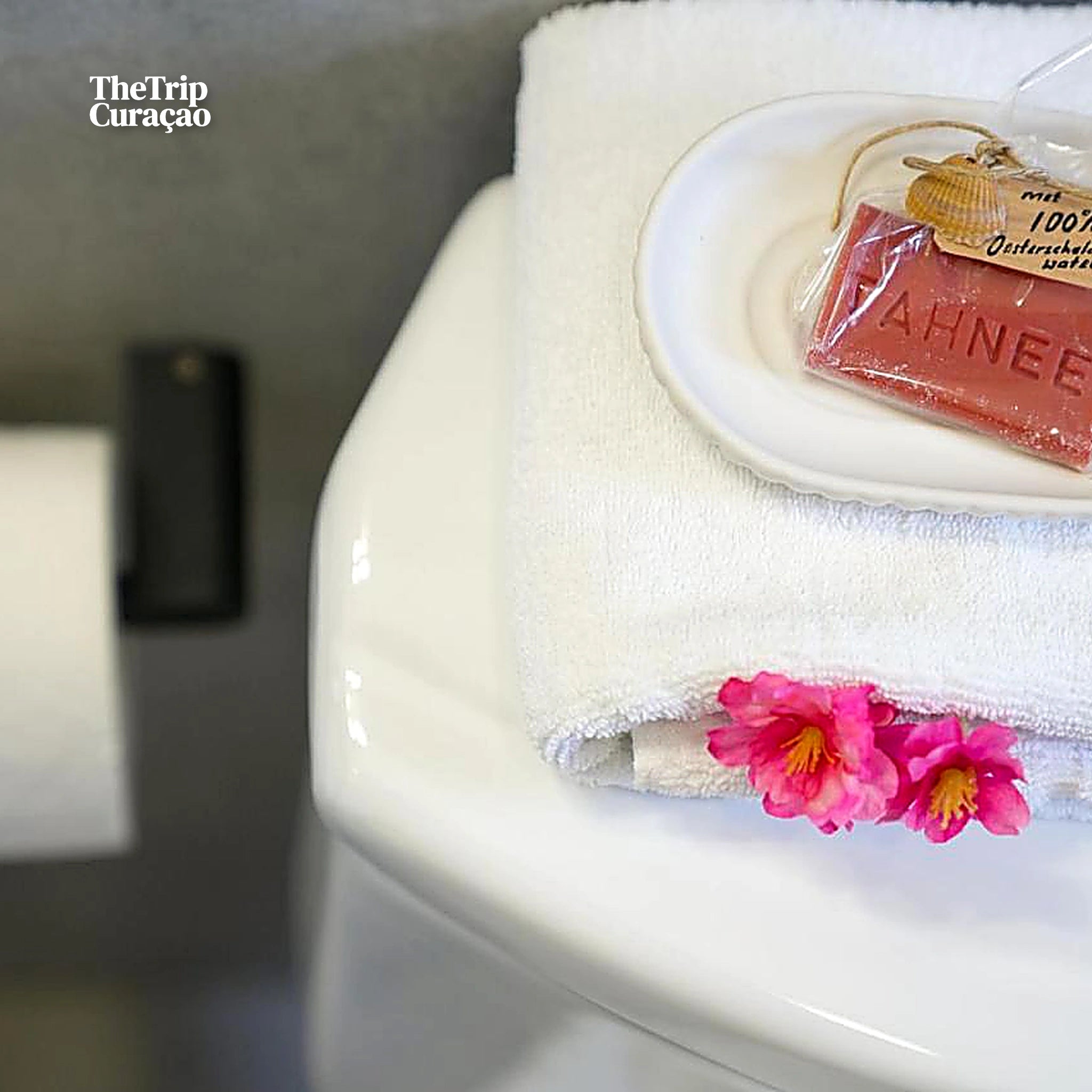 Gioia | 3-Bedroom Villa in Curaçao with Private Pool