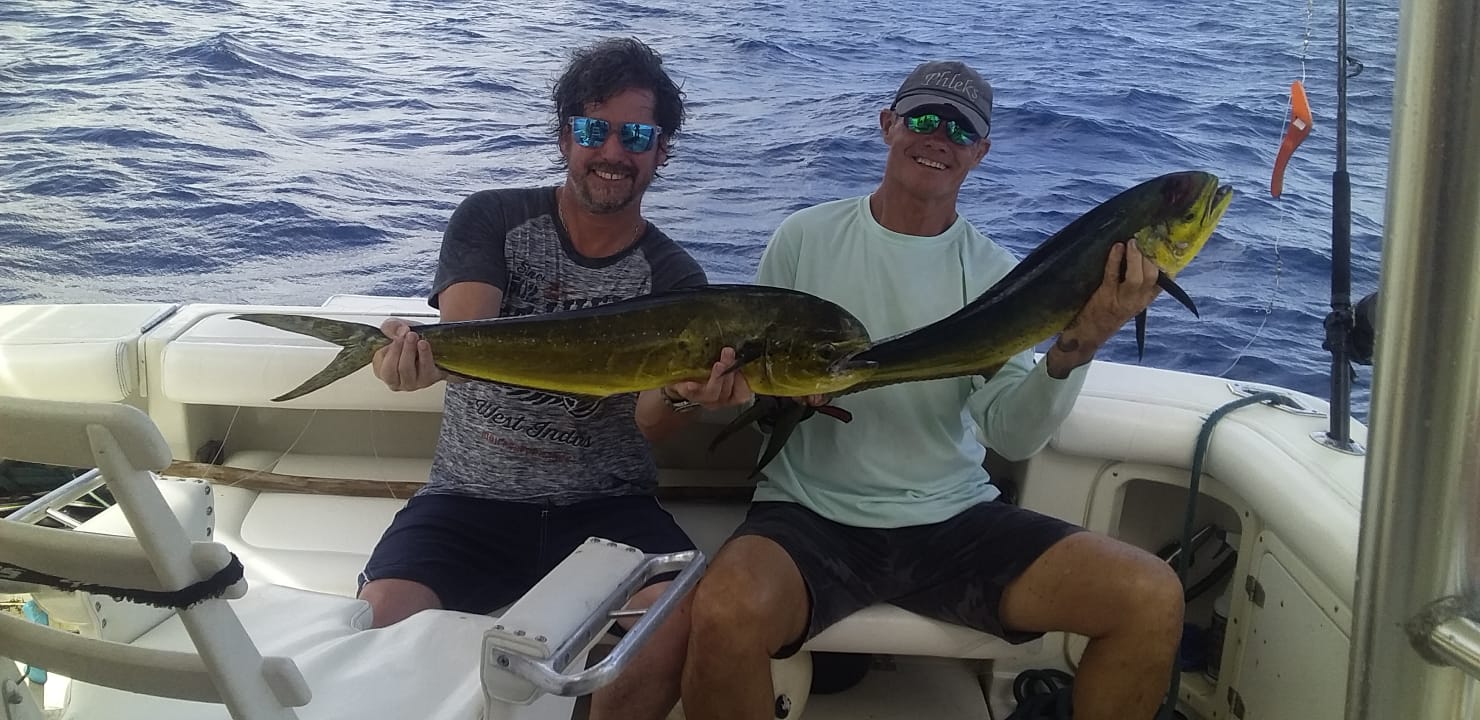 4 hours Offshore fishing tour