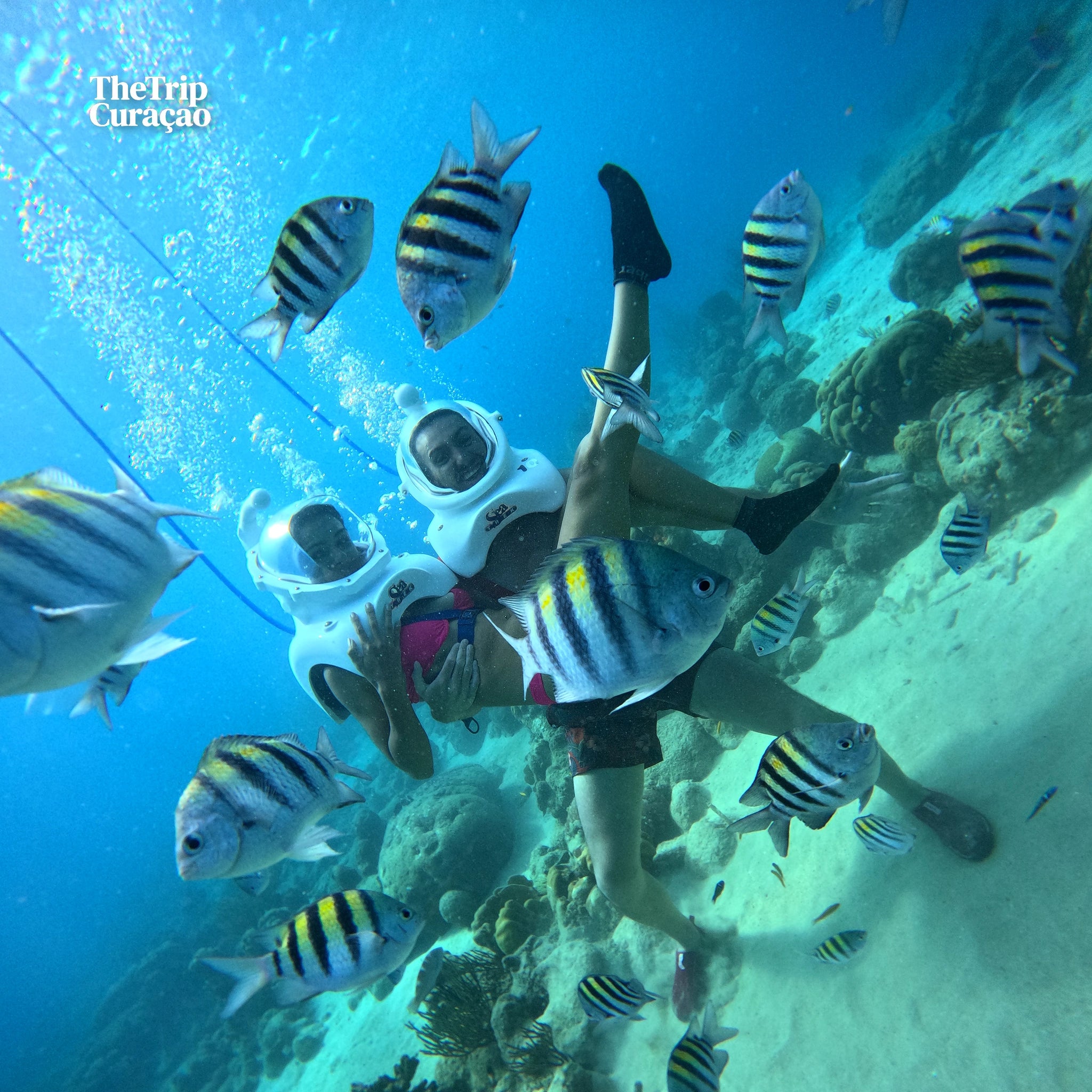 SeaTREK Underwater Walking Tour Curaçao