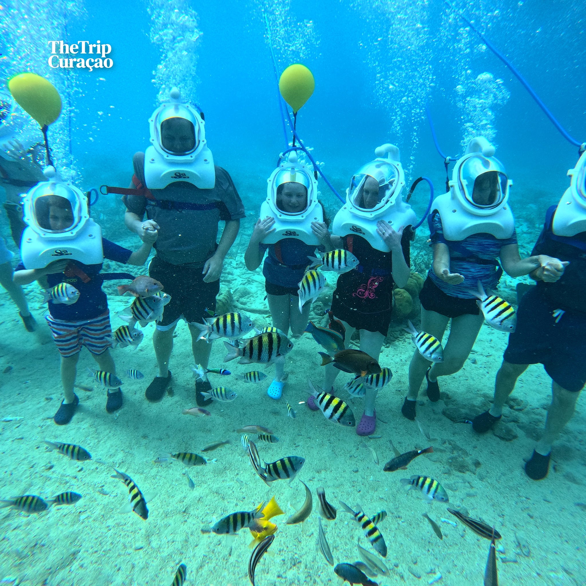 SeaTREK Underwater Walking Tour Curaçao