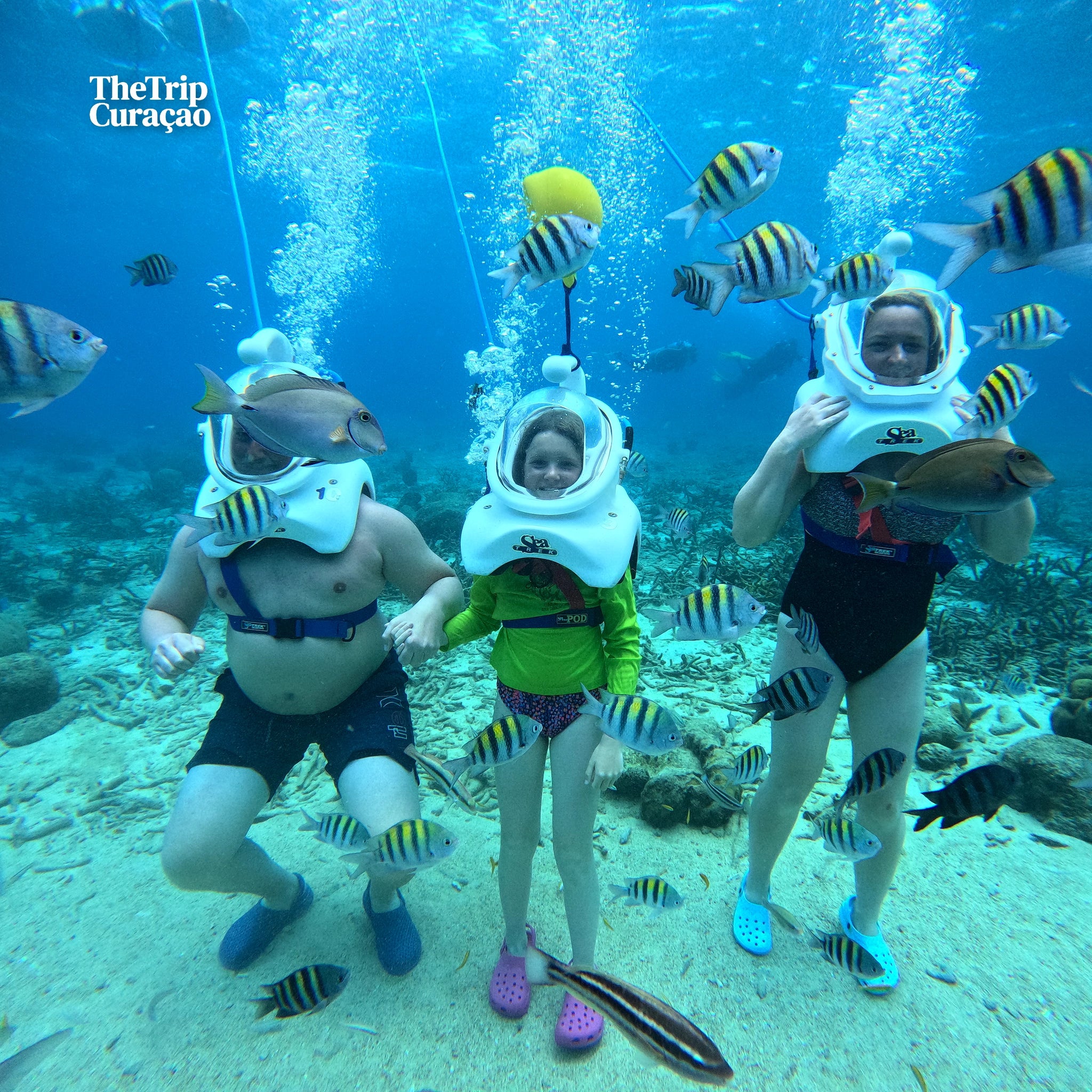 SeaTREK Underwater Walking Tour Curaçao