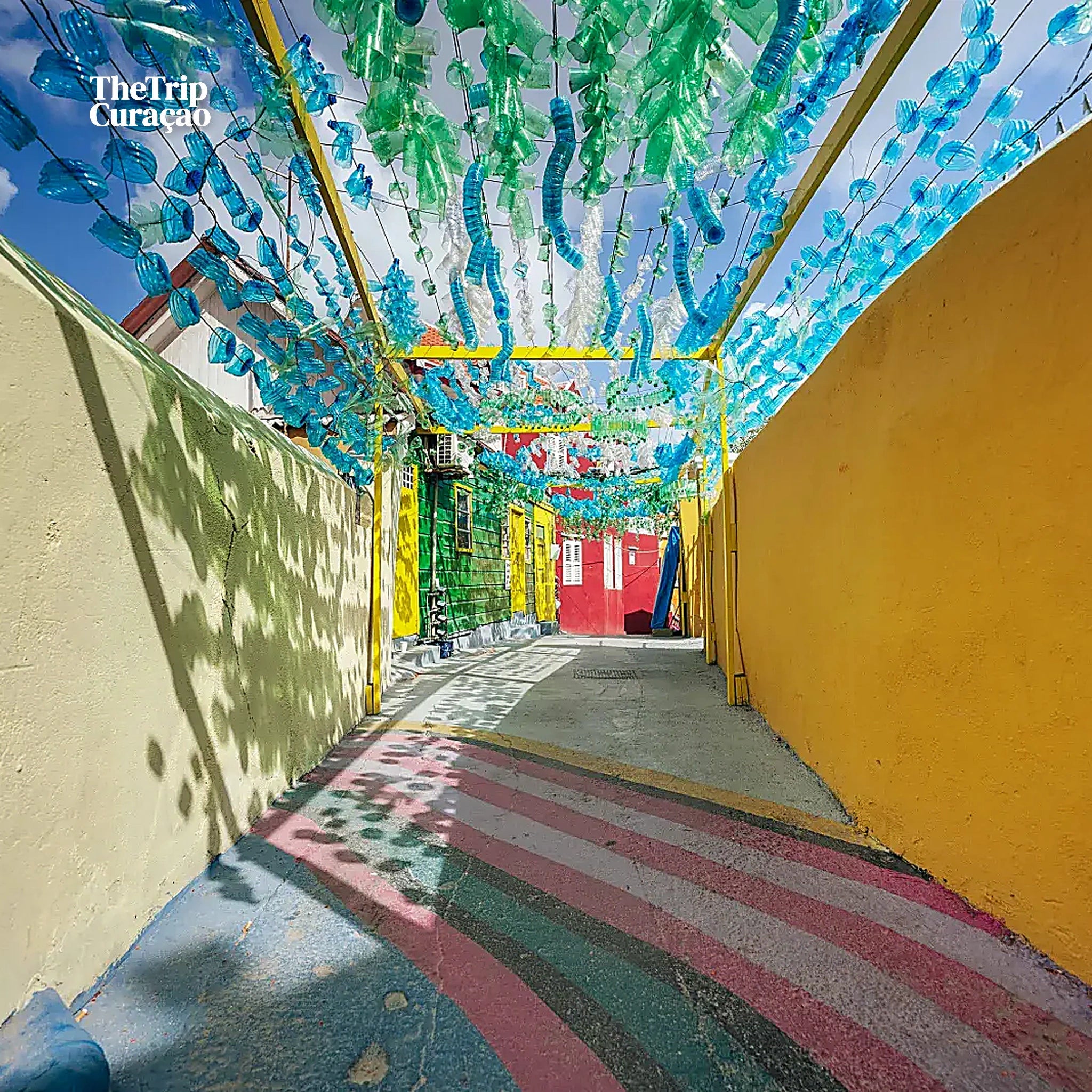 Discover Willemstad & local Lunch (half day)