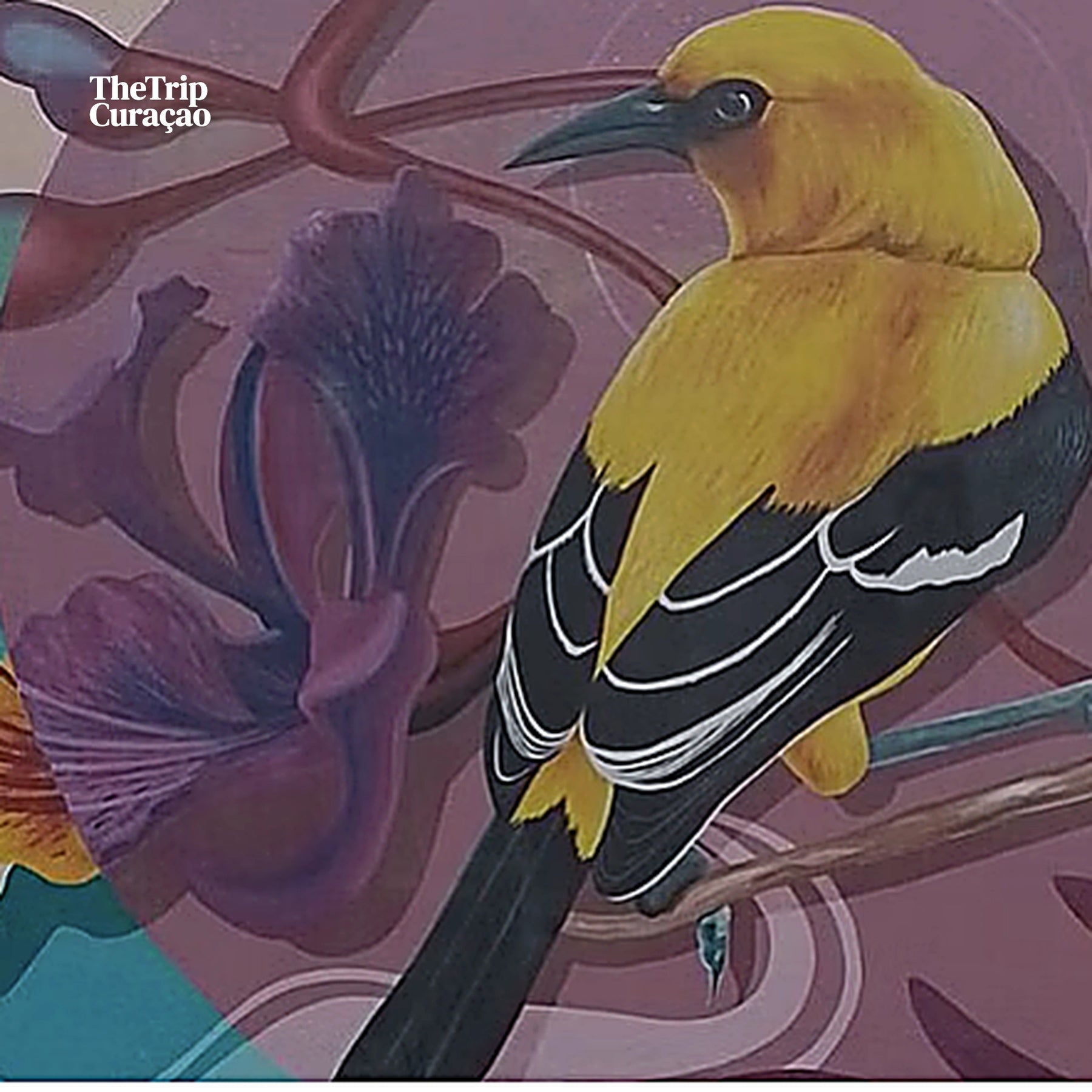 The Curacao's Colorful History Walking Tour