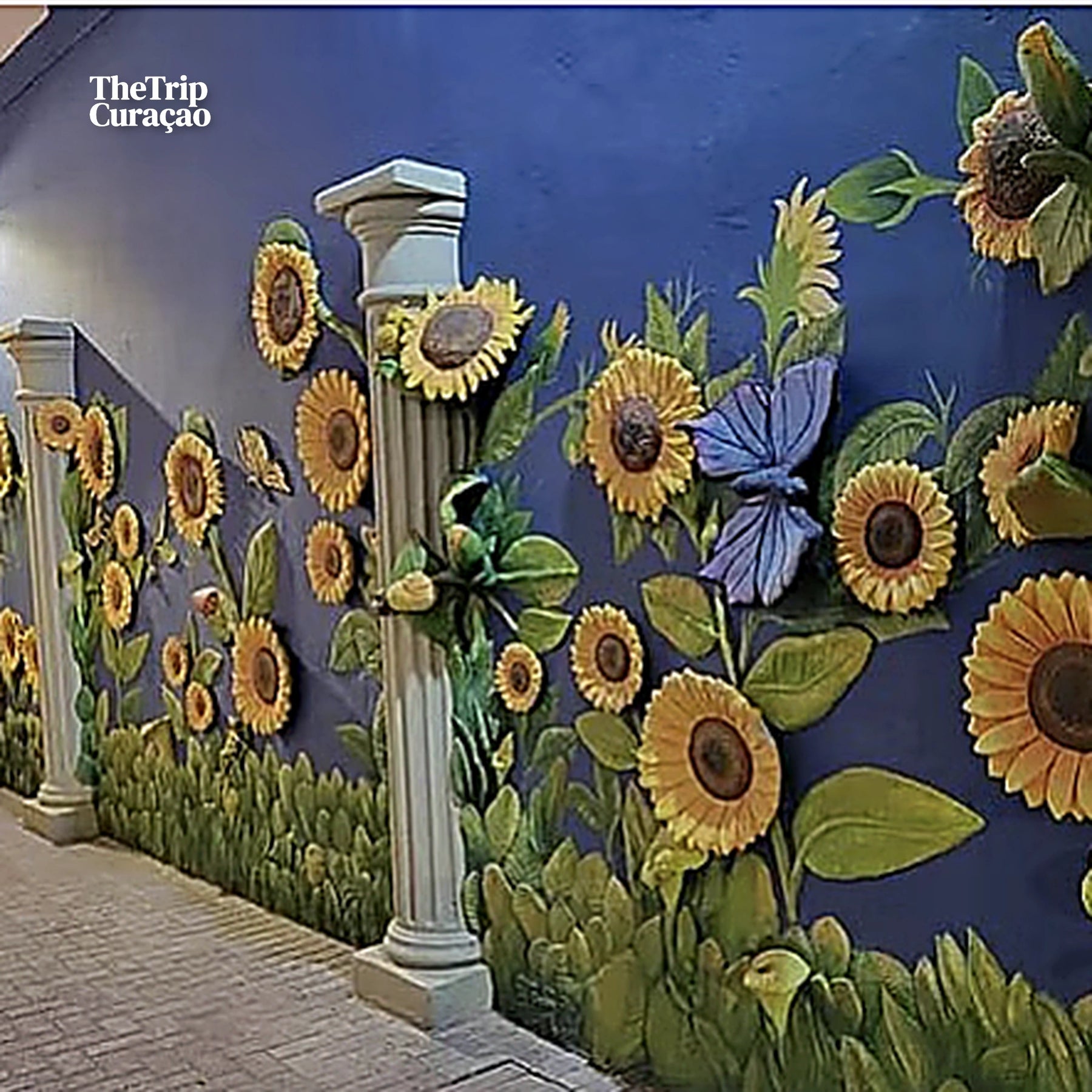 The Curacao's Colorful History Walking Tour