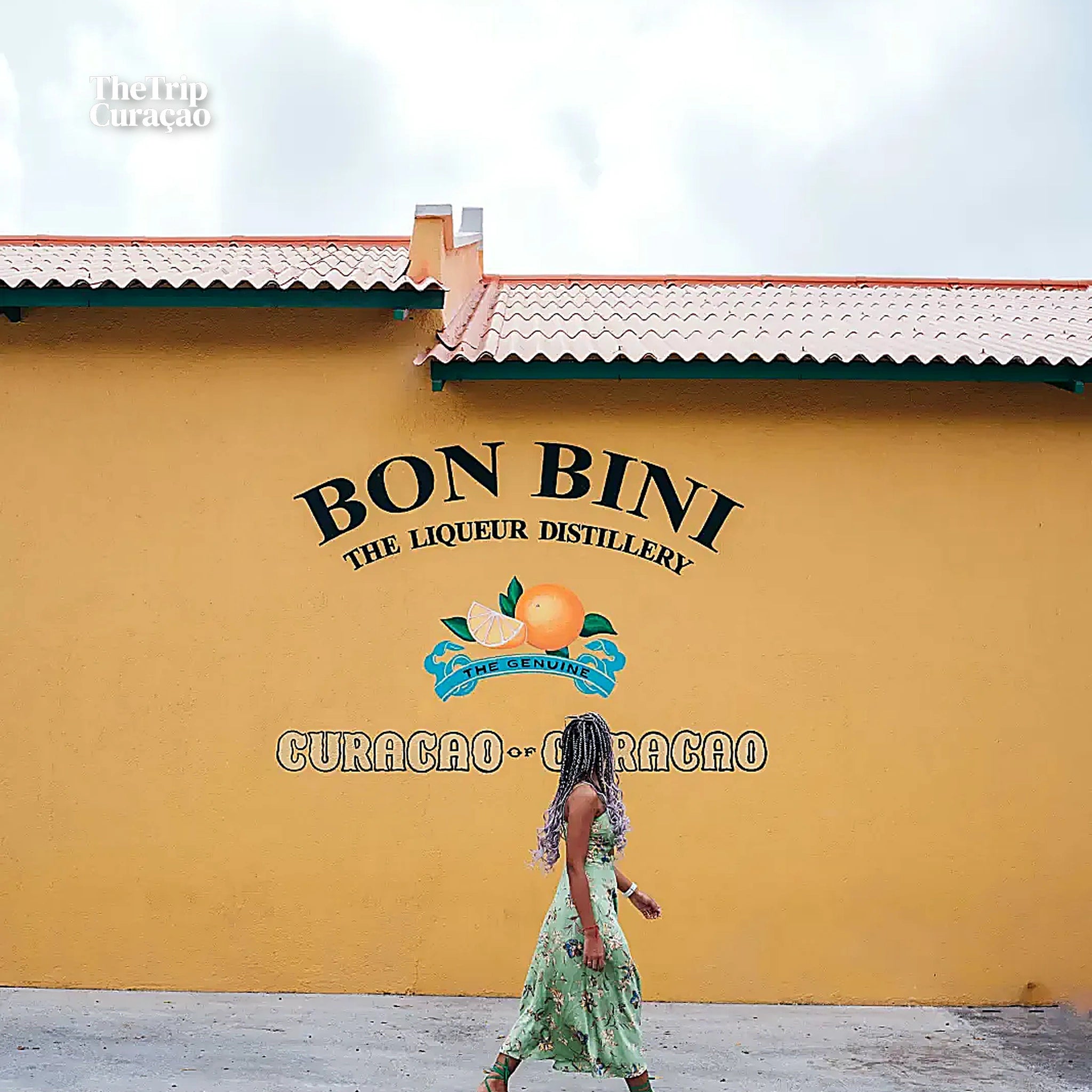 Discover Willemstad & local Lunch (half day)