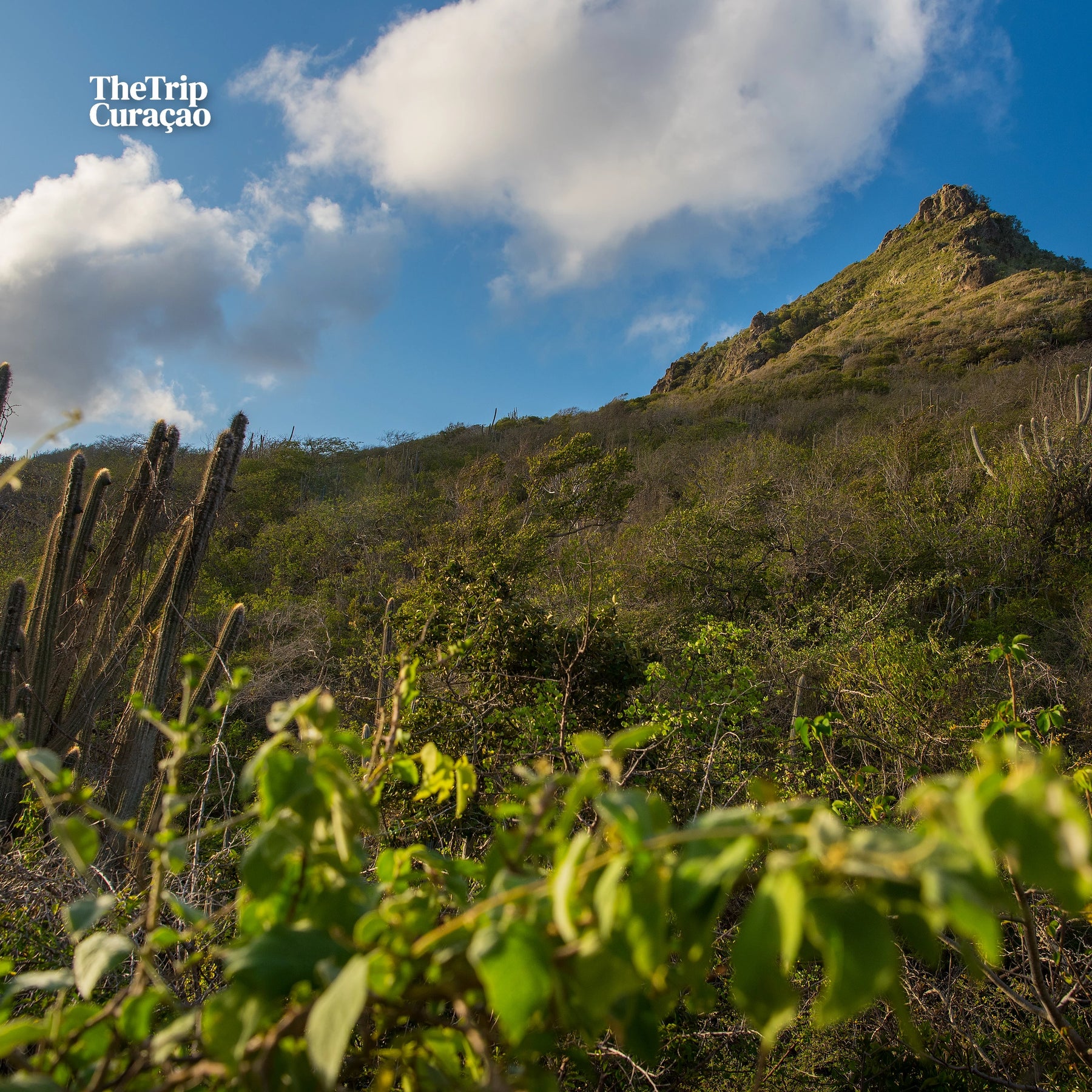 Christoffel National Park