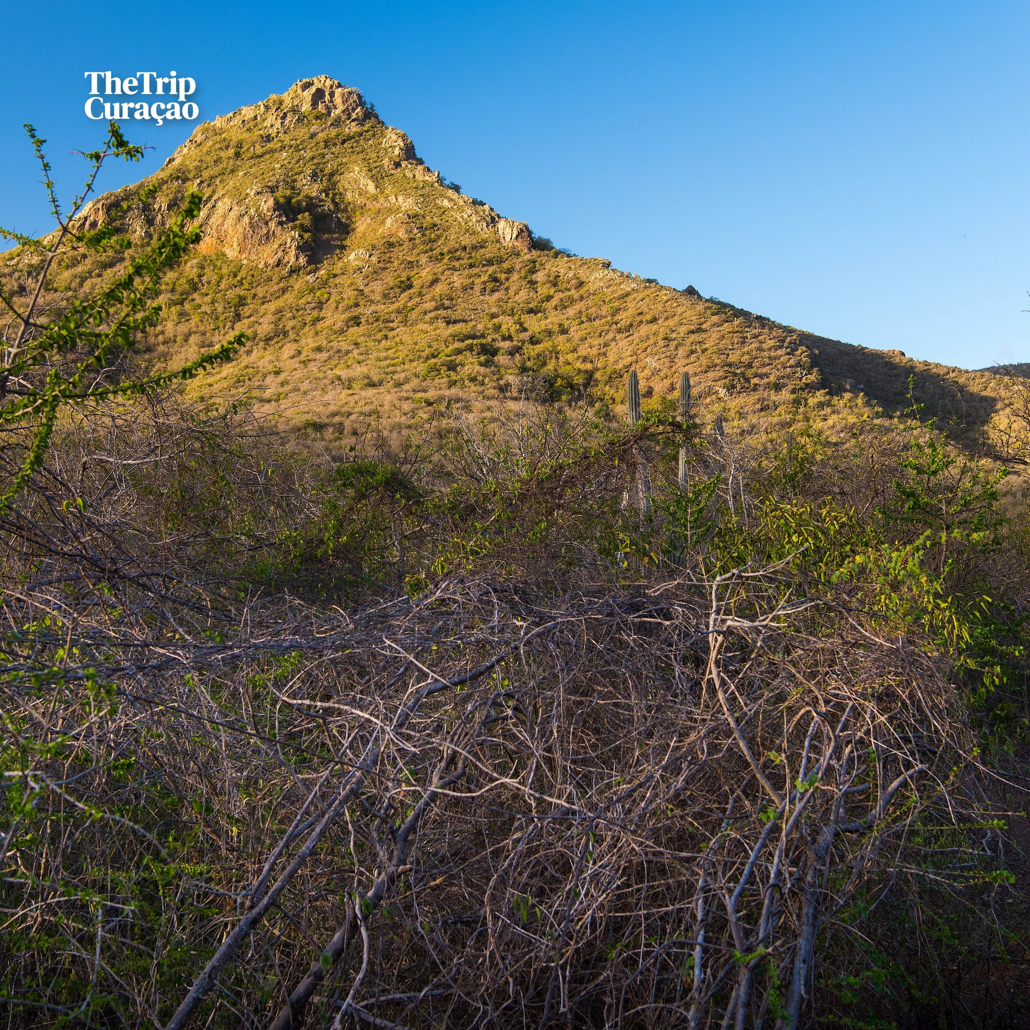 Christoffel National Park