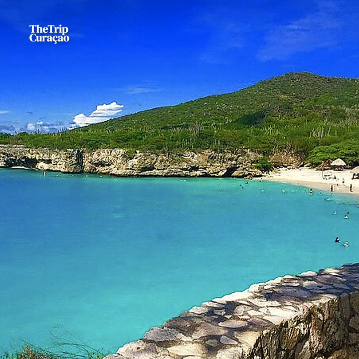 Green Escape, Hato Cave, Flamingo's and Turtle Beach Tour