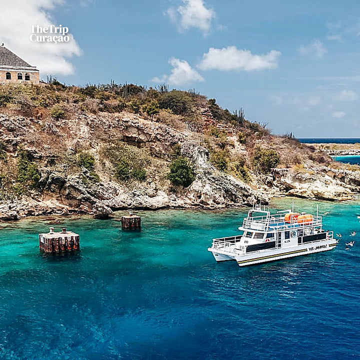 Half day Snorkel & Lunch-irie tours