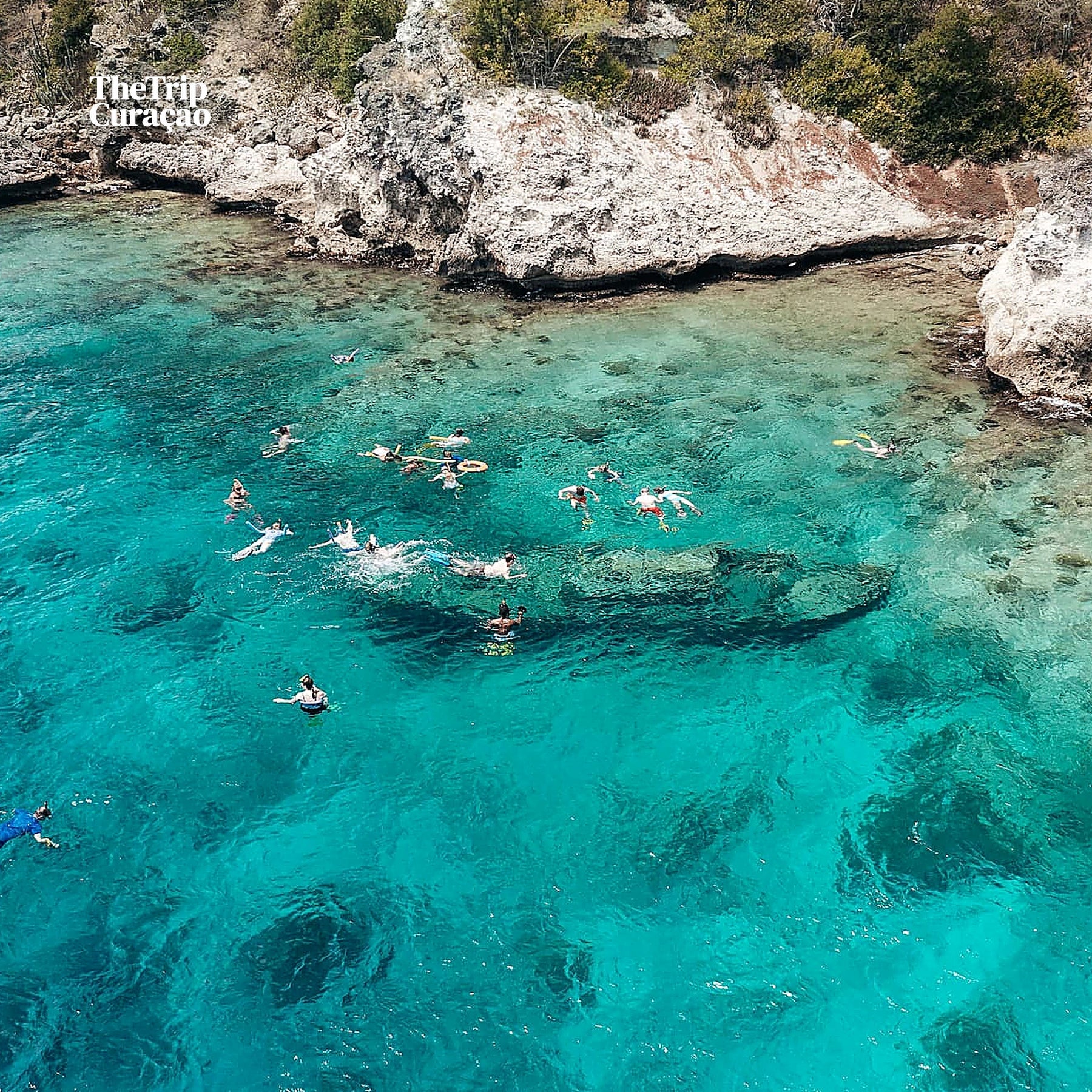 Half day Snorkel & Lunch-irie tours