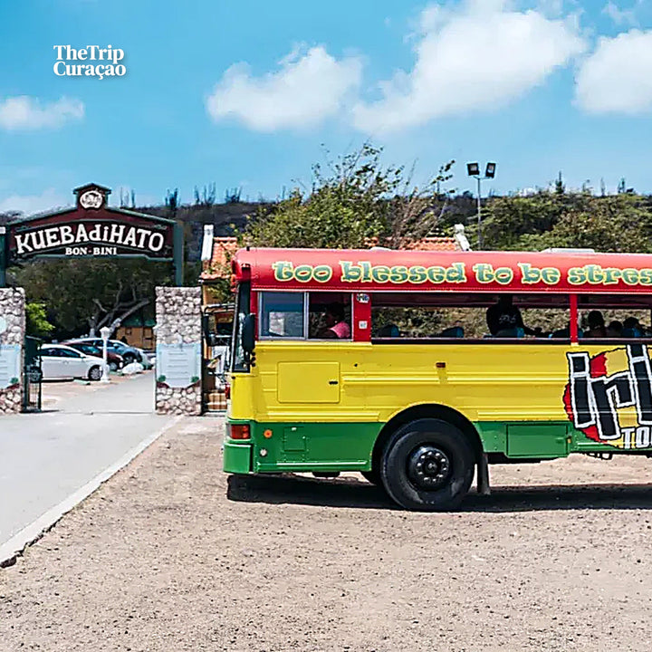 Wonders of Curaçao: Caves, Turtles & Beaches