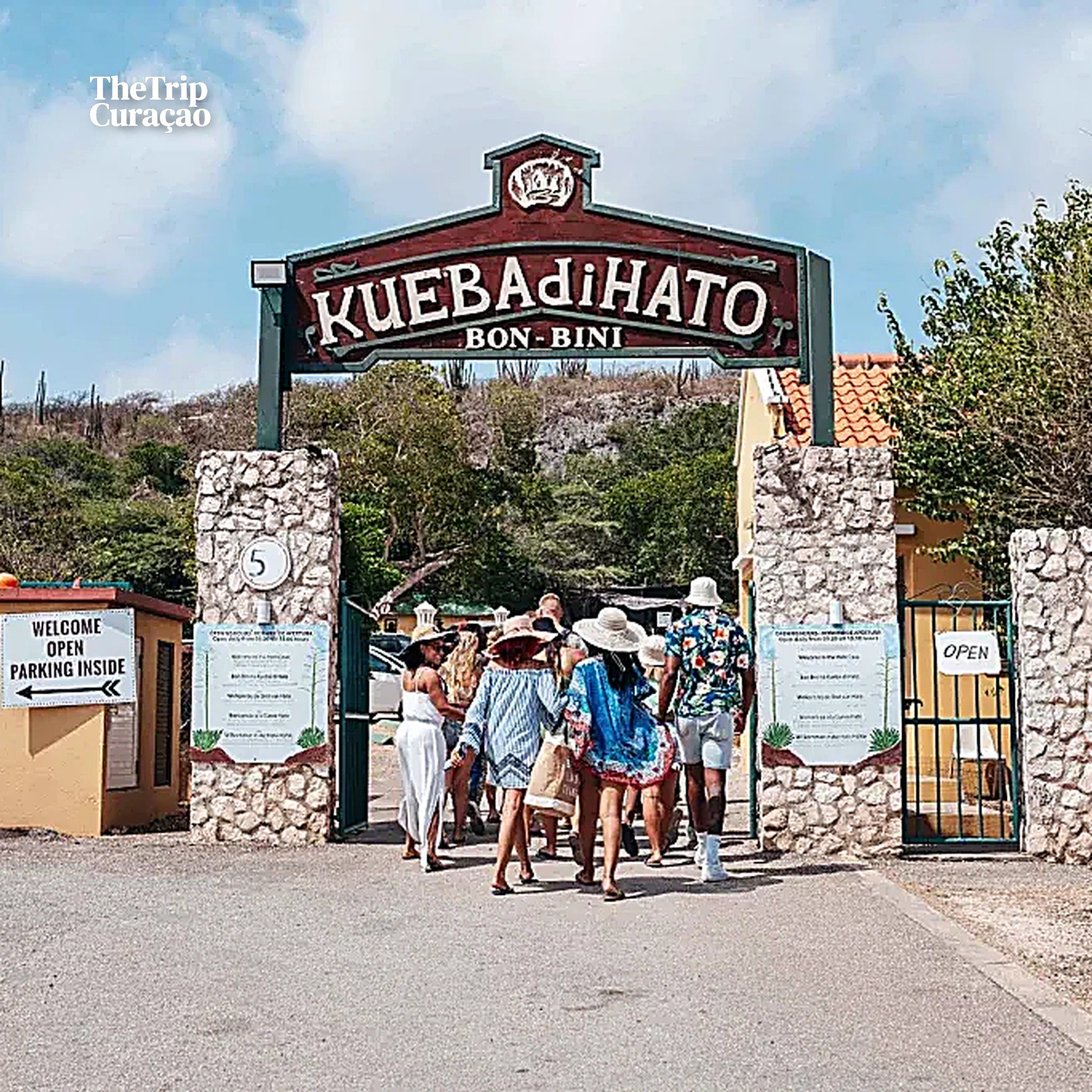 Wonders of Curaçao: Caves, Turtles & Beaches