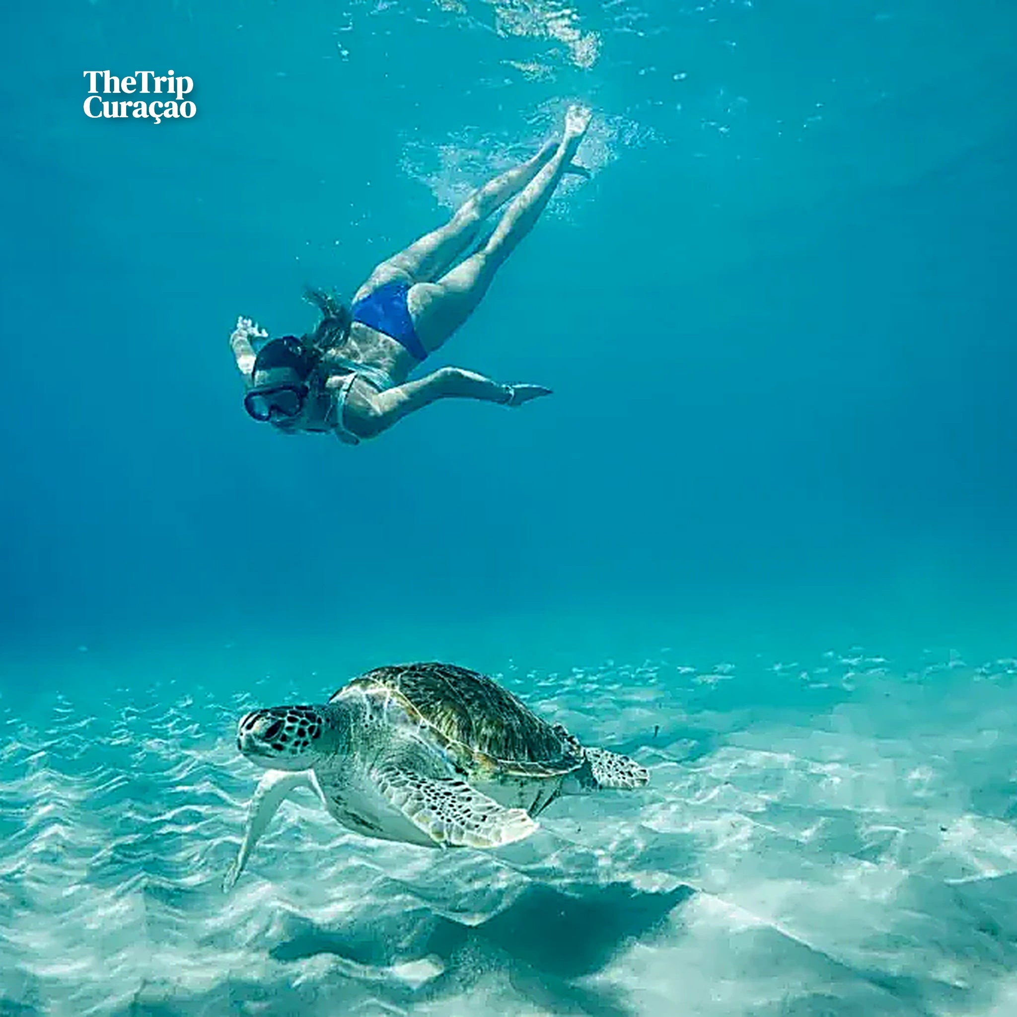 Wonders of Curaçao: Caves, Turtles & Beaches