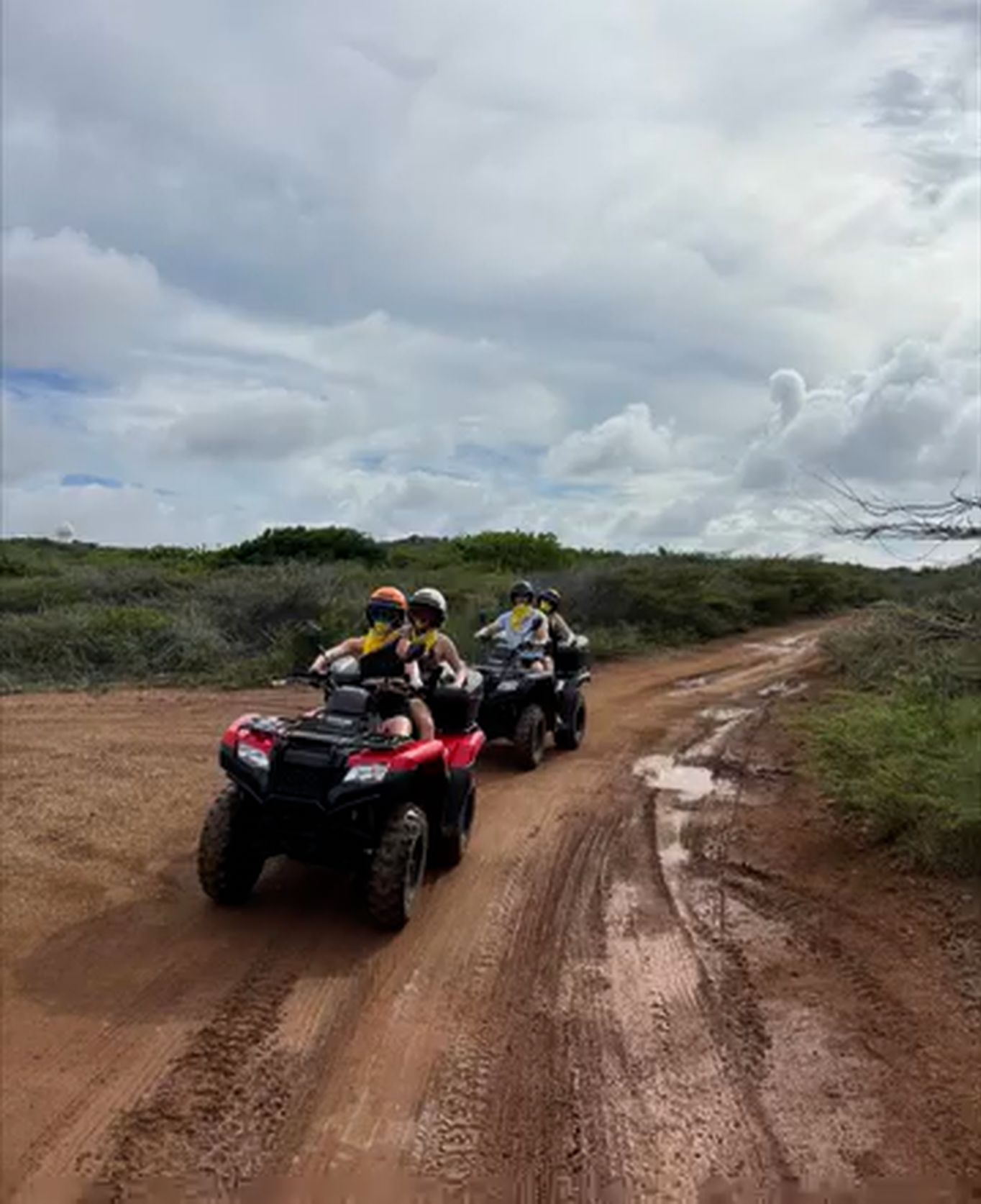 Buggy Beautfiull Curacao watamula