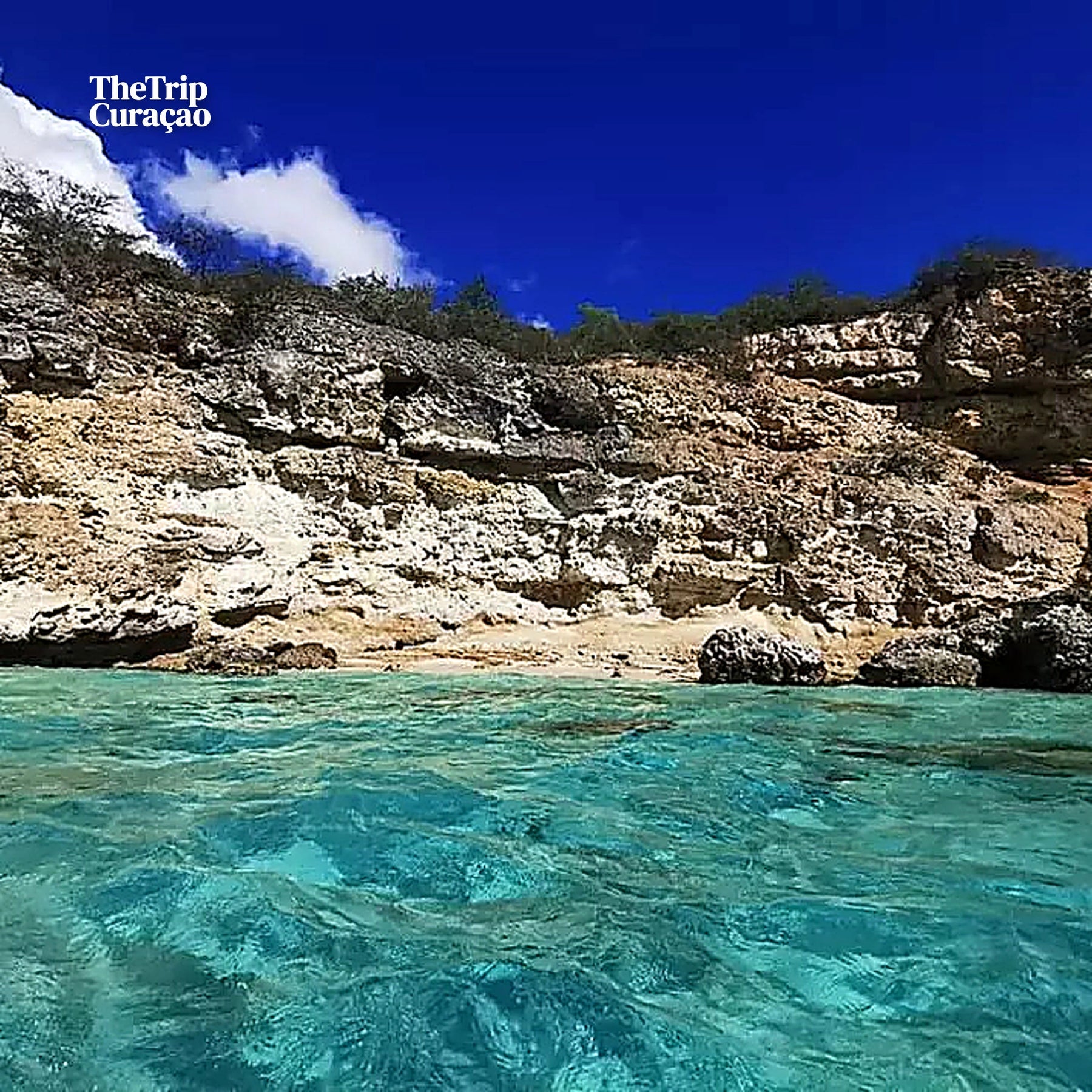 West Coast Snorkel Adventure - power boat caribean trips