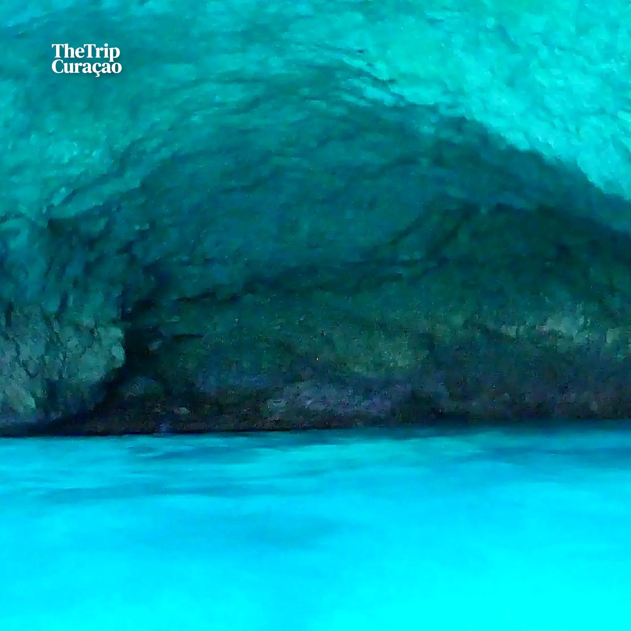 West Coast Snorkel Adventure - power boat caribean trips