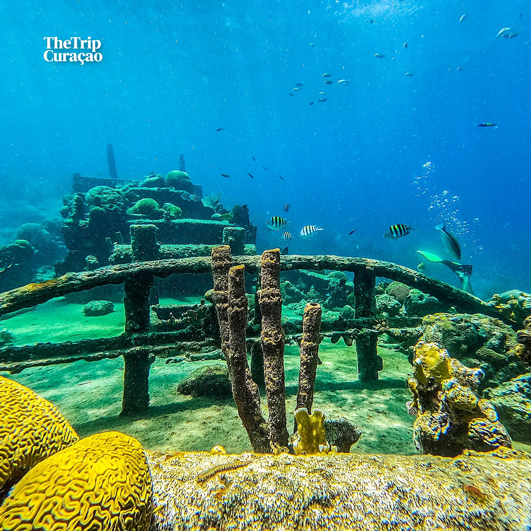Catamaran Snorkeling Trip