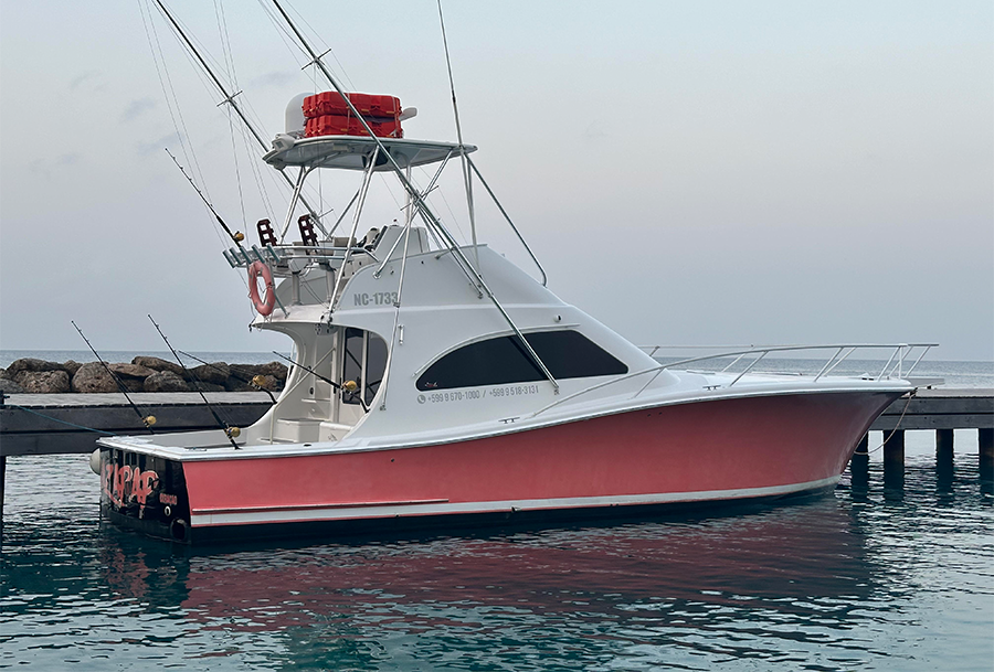 4 Hours offshore fishing 44-ft Luhrs convertible