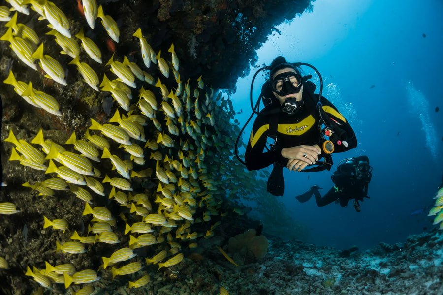 Premium Boat Diving Curaçao — Two Handpicked Dives in Perfect Conditions