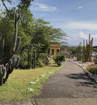 Half Day Hato Cave, Flamingo & Beach Tour