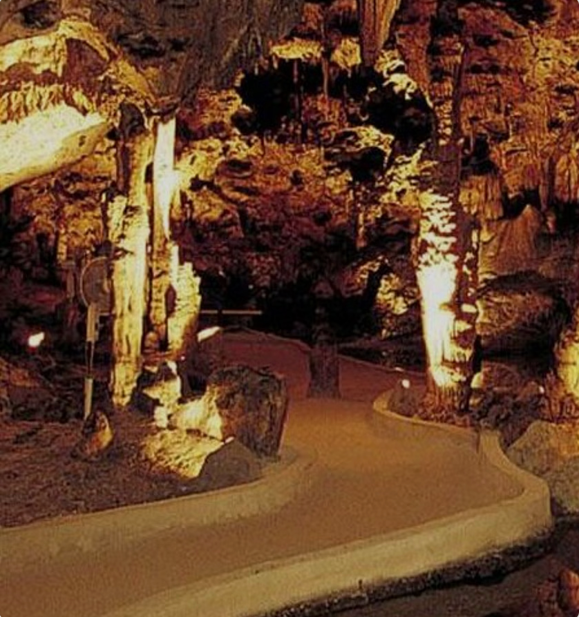 Half Day Hato Cave, Flamingo & Beach Tour