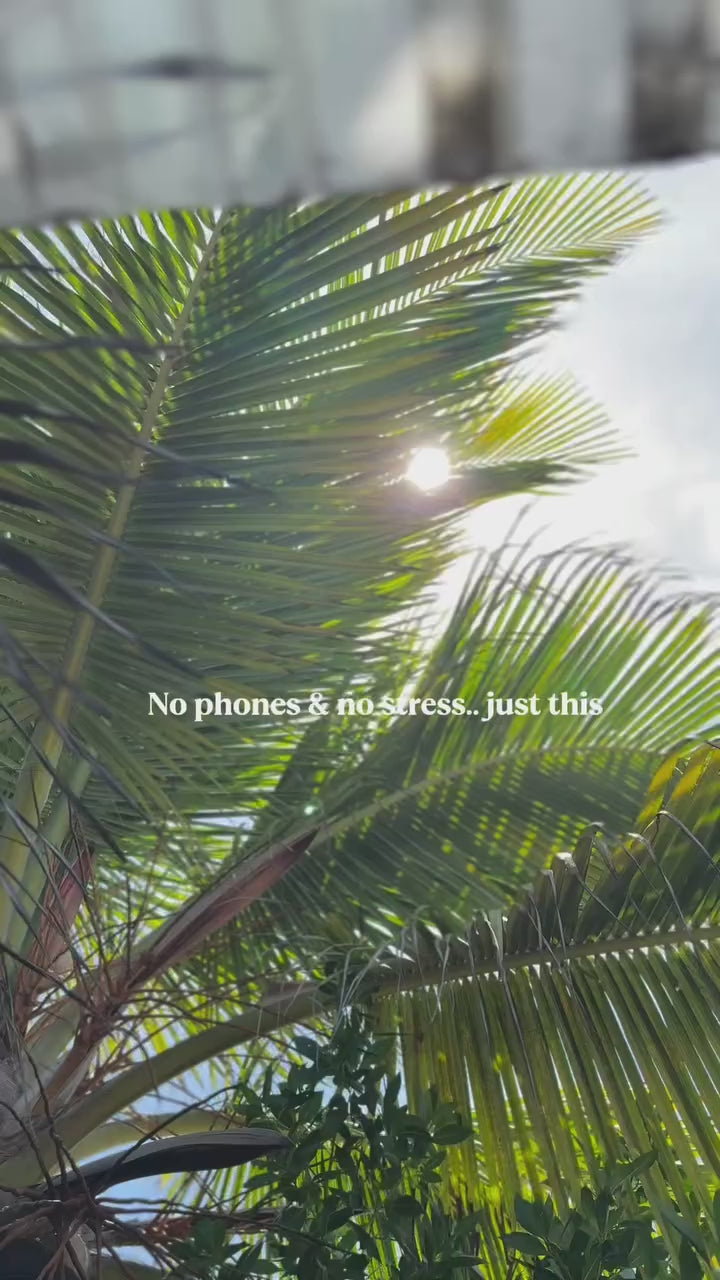 Klein Curaçao Serendipity Weekdays