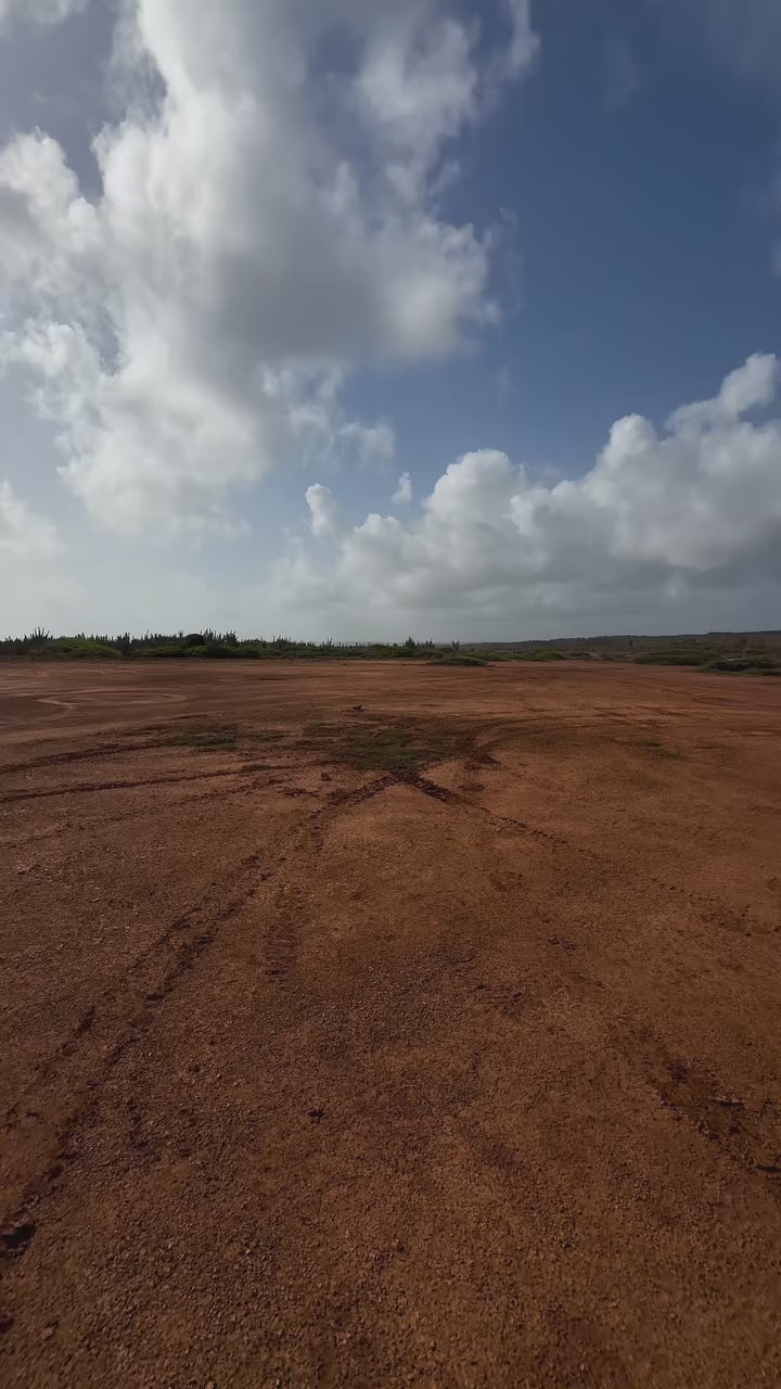 UTV Buggy and Snorkeling Tour in Willemstad Curacao