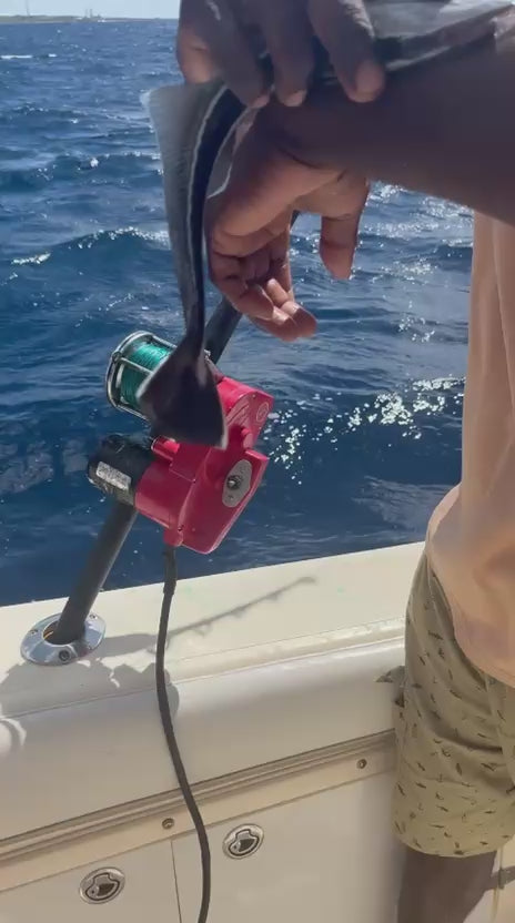 6 hours deep sea private 33ft fishing boat