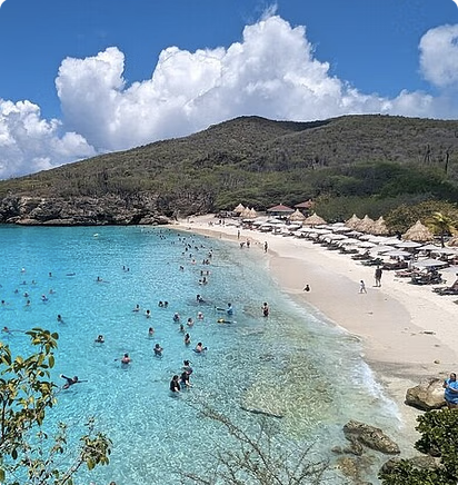 The Blue Experience: Snorkeling with Turtles & Beach Hopping tour