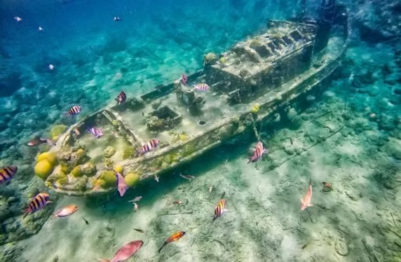 Tugboat Beach Curaçao | Snorkeling & Diving Spot